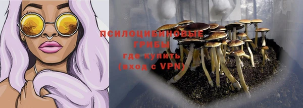 трава Балахна