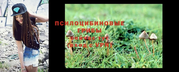 соль курить ск Армянск