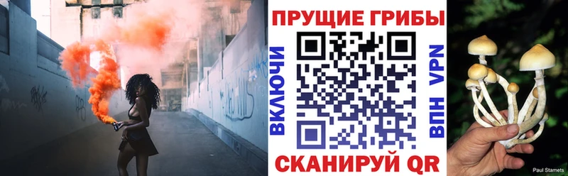 Псилоцибиновые грибы мухоморы купить закладку Печора